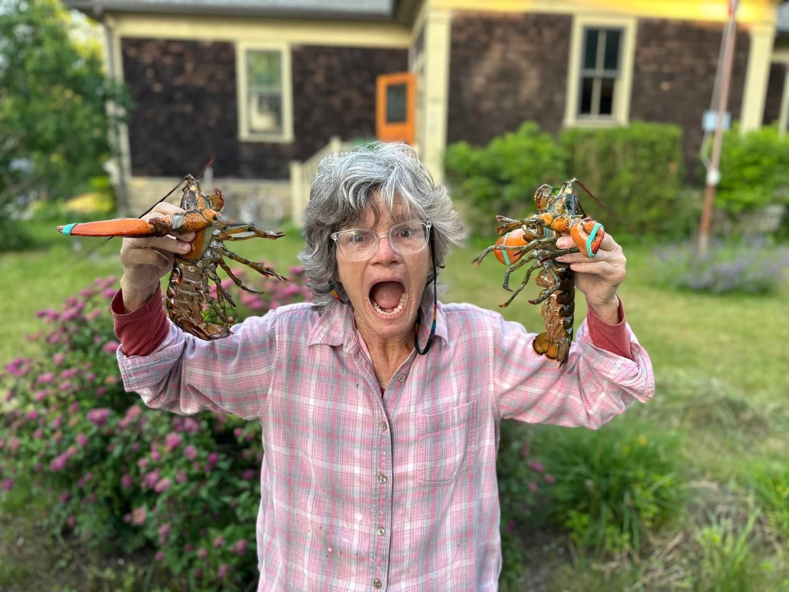 Holding up two freshly cooked lobsters